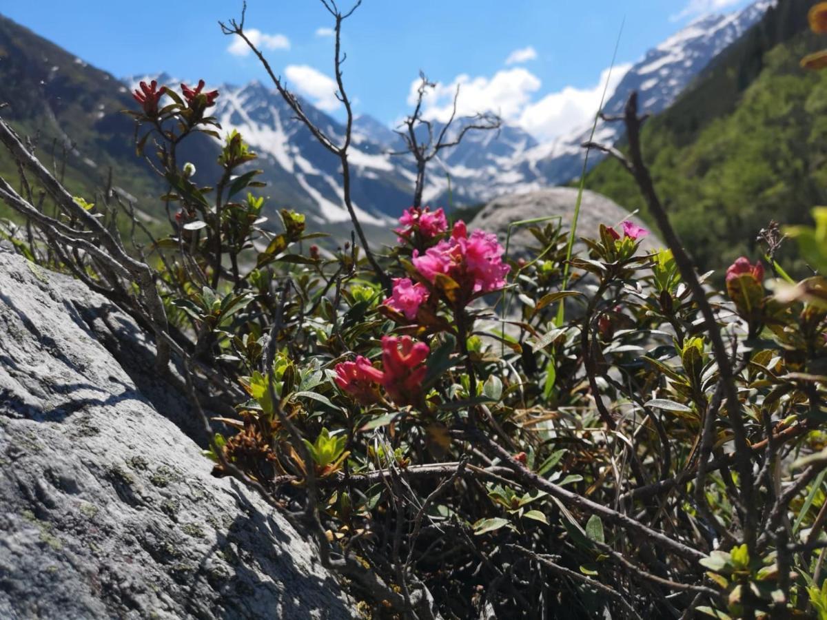 Piz-Hotel Sankt Leonhard im Pitztal Exteriér fotografie